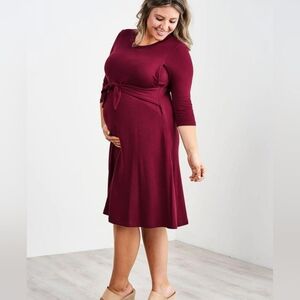 Elegant Latched Mama Burgundy Maternity/Nursing Dress